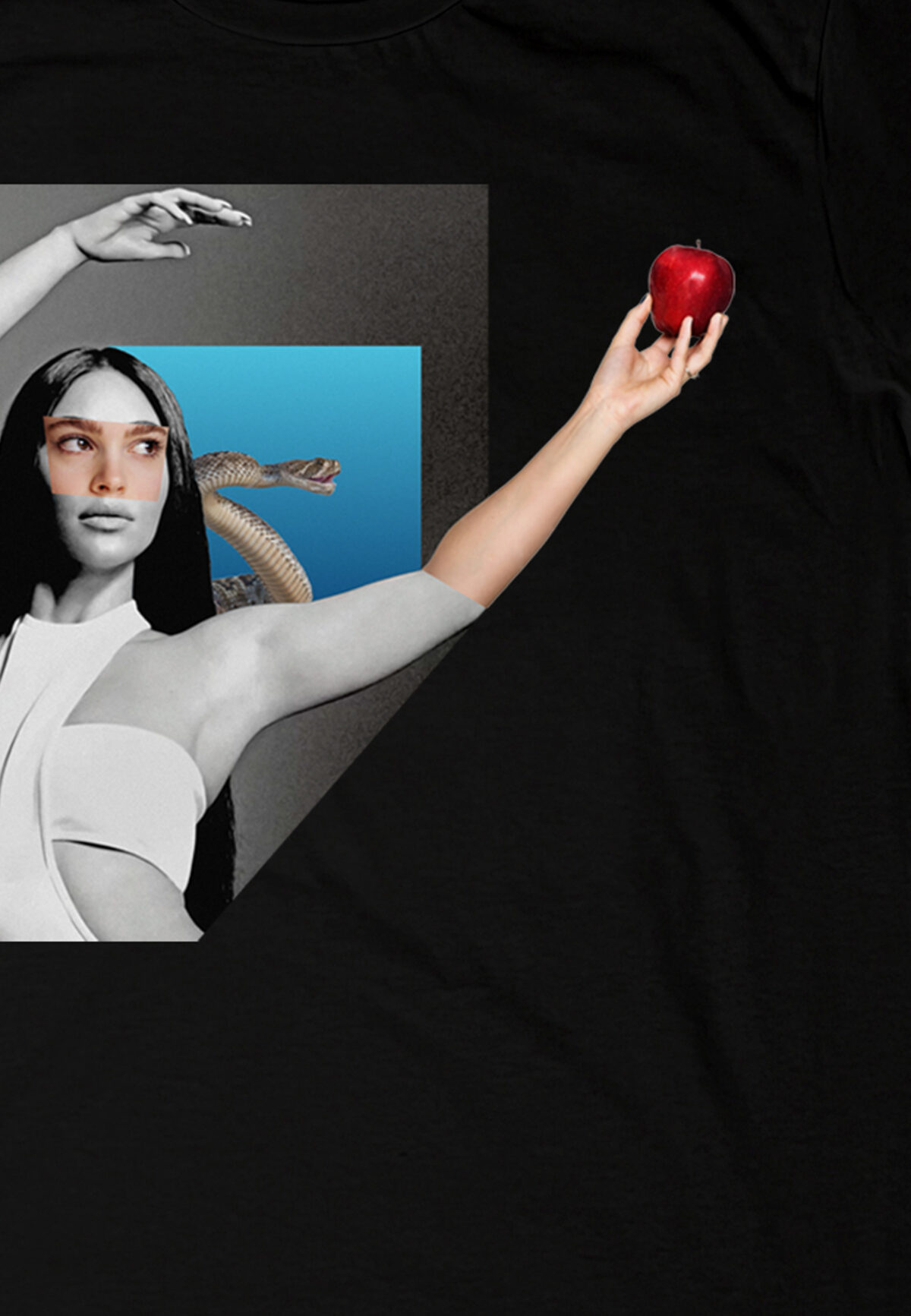 Apple | T-shirt