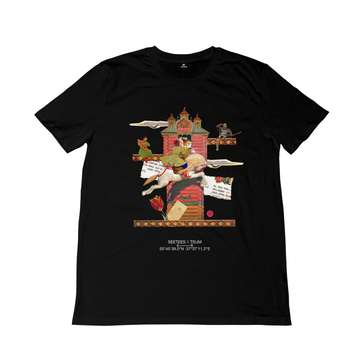 Vasnetsov | T-shirt