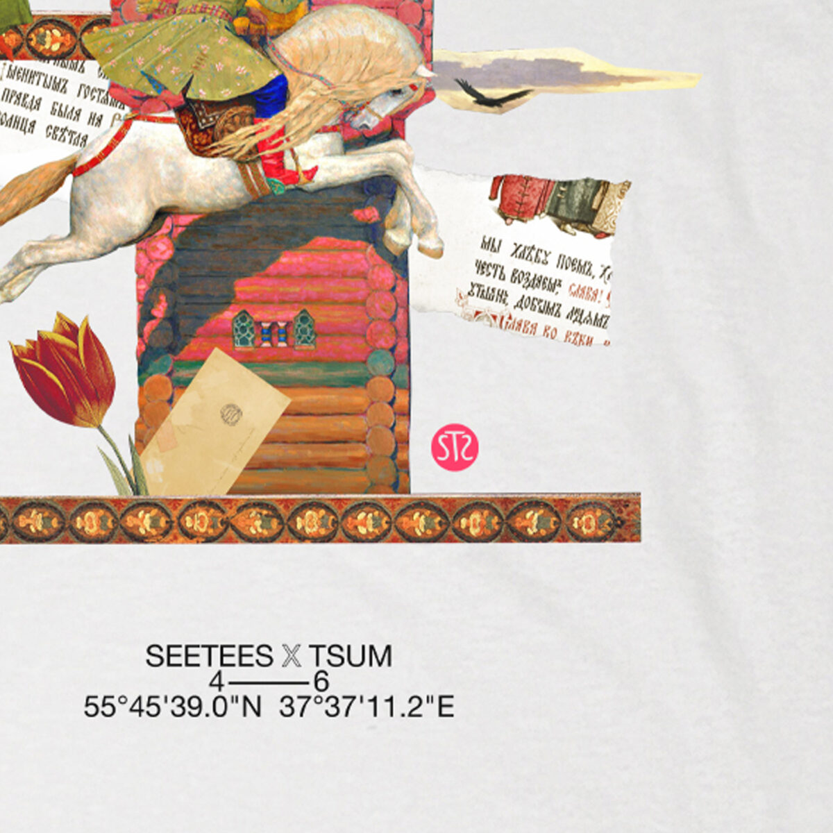 Vasnetsov | T-shirt